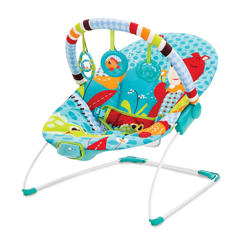 Colorful Baby Bouncer with Toy Bar – Soft & Secure