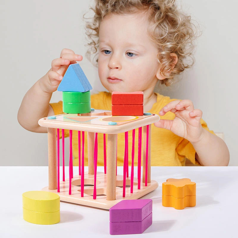Educational Activity Cubes Wooden Blocks Box