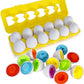 Shape Matching Egg Toy Set – 12 Pcs Montessori Color & Shape Learning Eggs