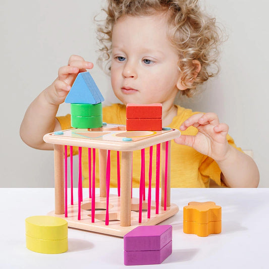 Educational Activity Cubes Wooden Blocks Box