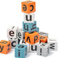 Montessori Wooden Spelling Word Game with Flashcards & Letter Blocks