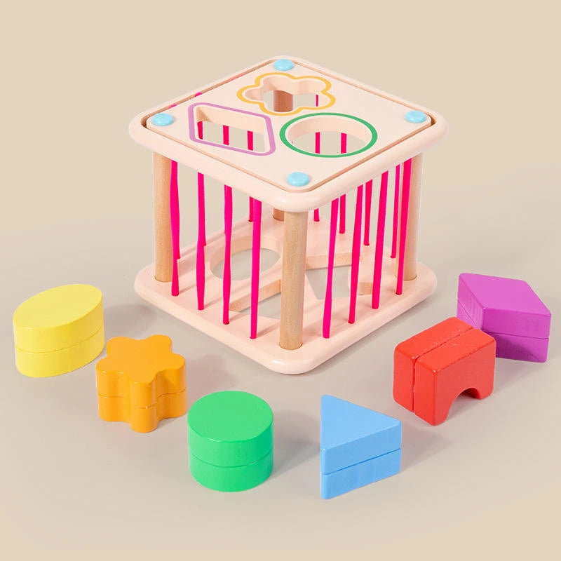 Educational Activity Cubes Wooden Blocks Box